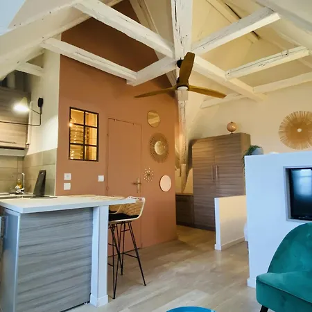 Le Nid Apartment Rodez