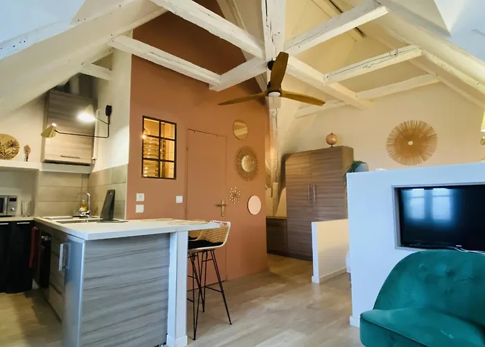 Le Nid Apartment Rodez